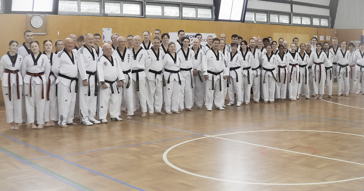 World Taekwondo Dan Preparatory Test candidates performing technical excellence