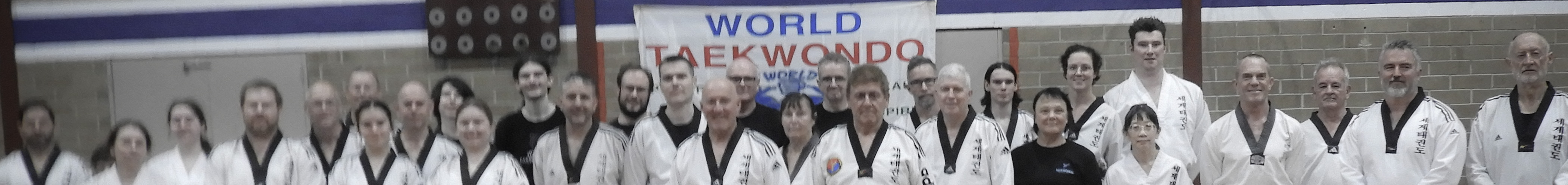 World Taekwondo Hapkido Launch Seminar Panoramic Banner