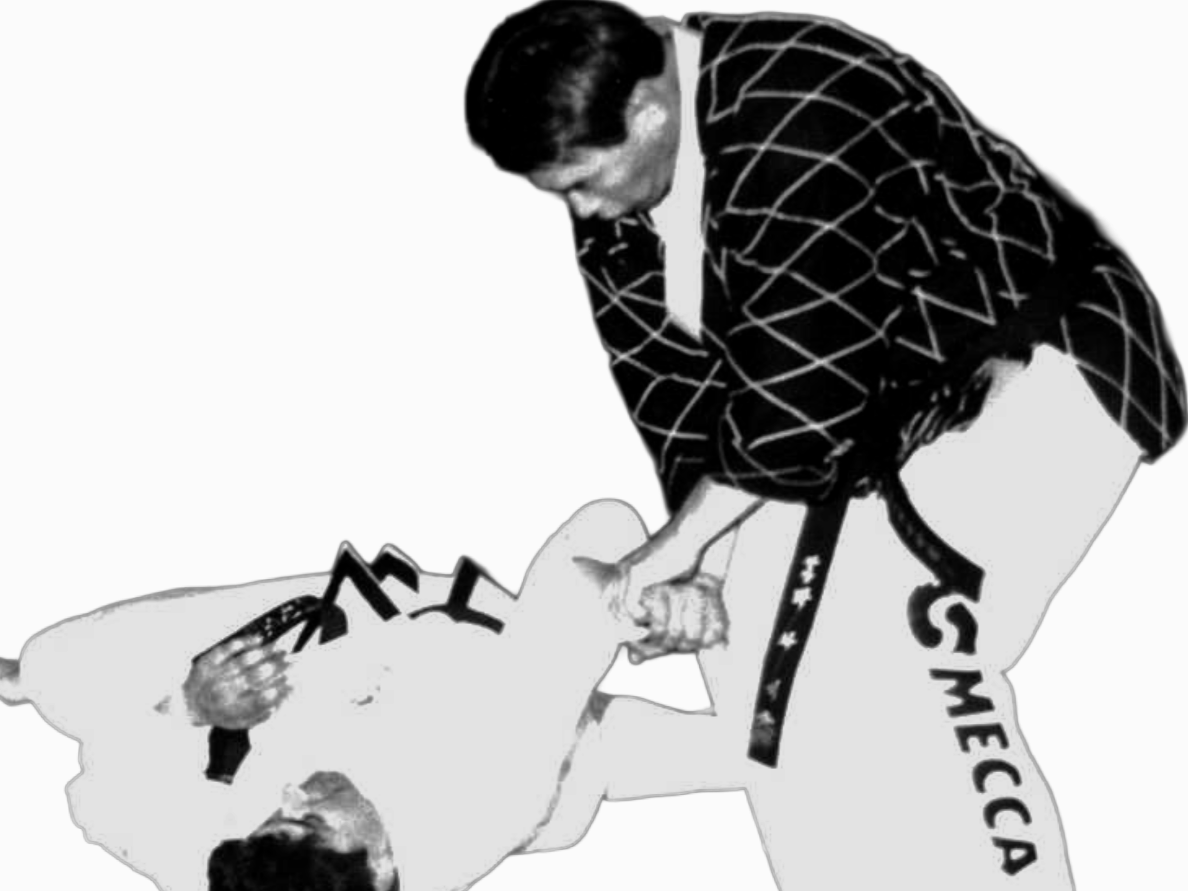 Hapkido Self Defence and Stick Training
